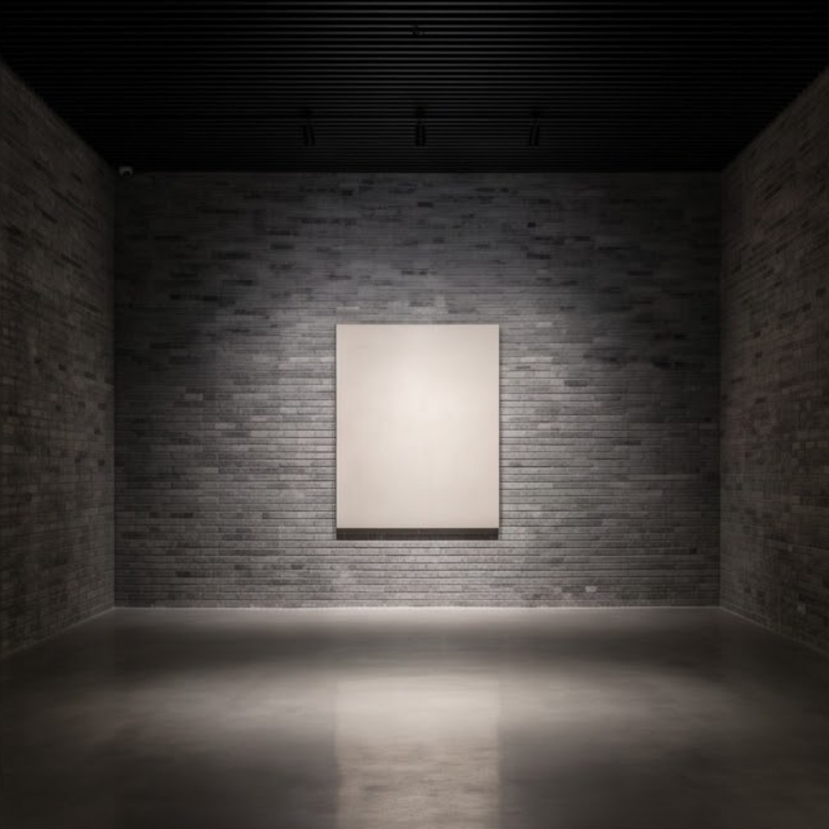 项目作品
